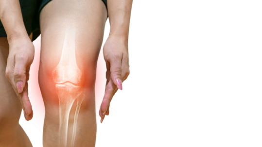 VŠE O KŘÍŽOVÝCH VAZECH