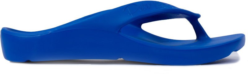 shark-azzurro