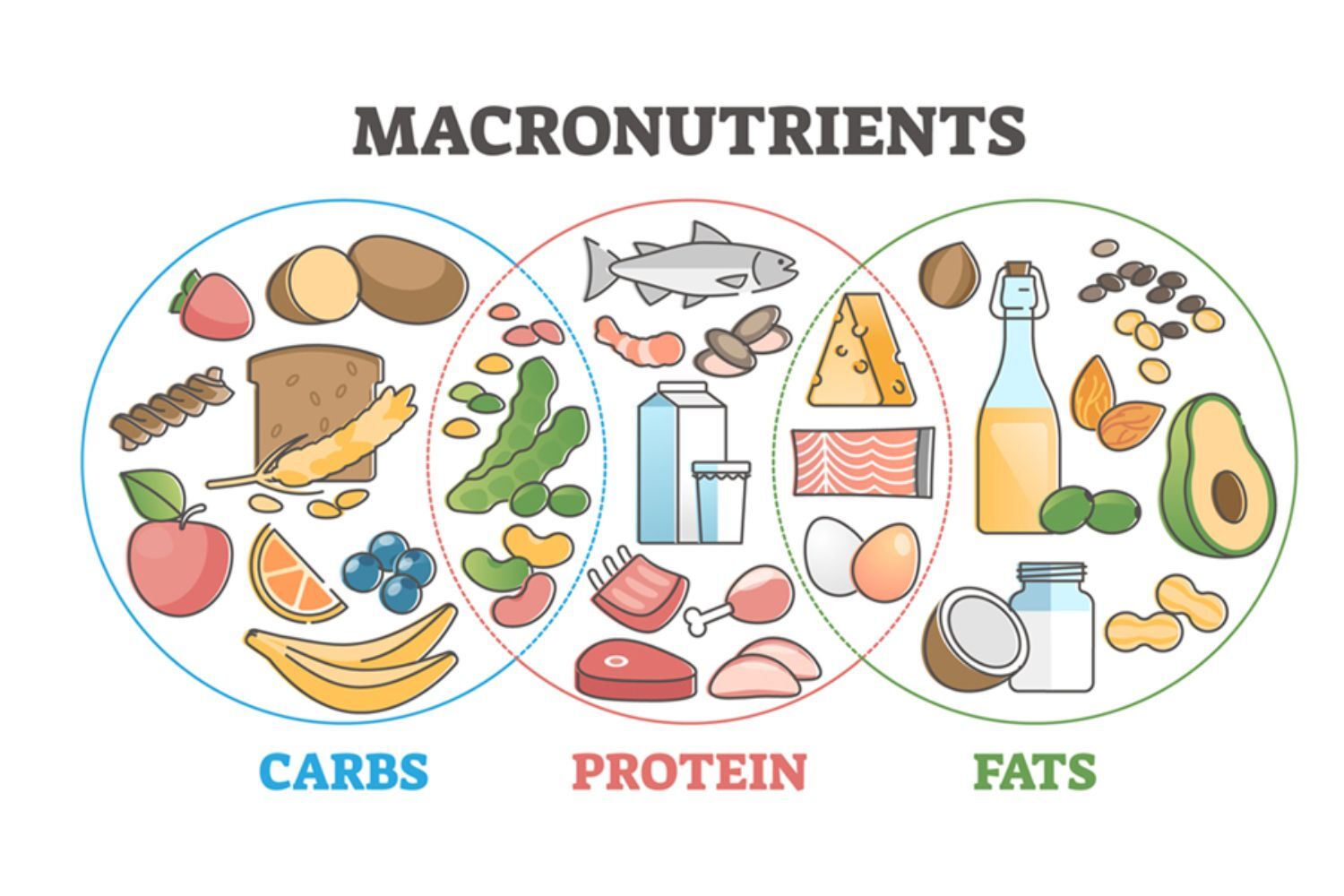 nutri makronutr