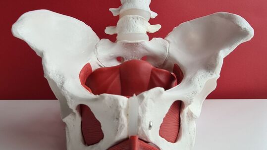 DYSFUNKCE SVALŮ PÁNEVNÍHO DNA