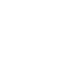 Partner - US Embassy